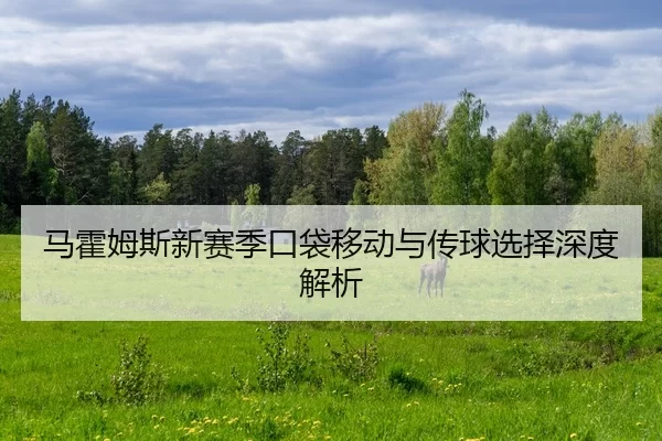 ma-huo-mu-si-xin-sai-ji-kou-dai-yi-dong-yu-chuan-qiu-xuan-ze-shen-du-jie-xi-2-660.jpg