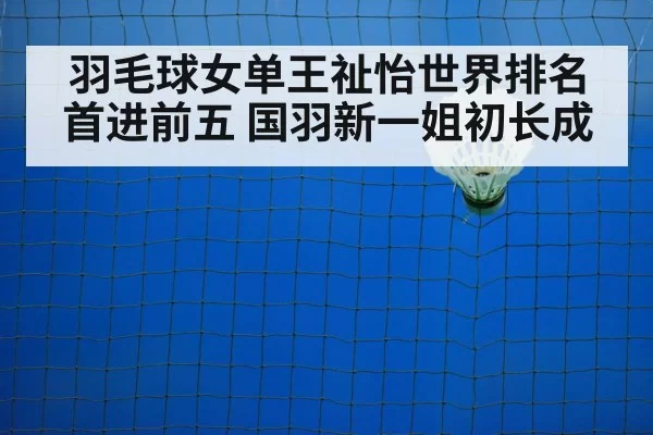 badminton training court